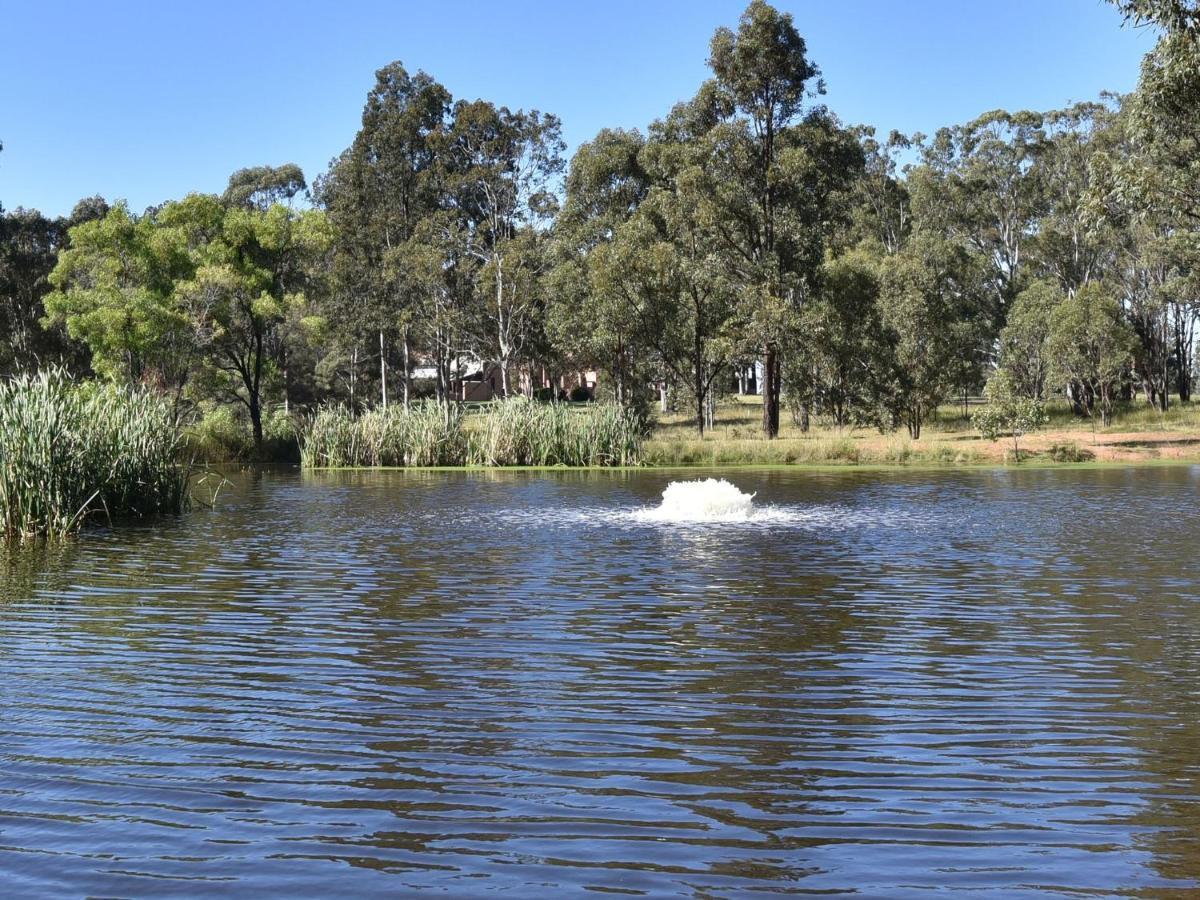 Blaxlands Homestead - Nothing Is Closer Opposite Hope Estate With Wifi And Pool Plus Fireplace Pokolbin Exterior foto